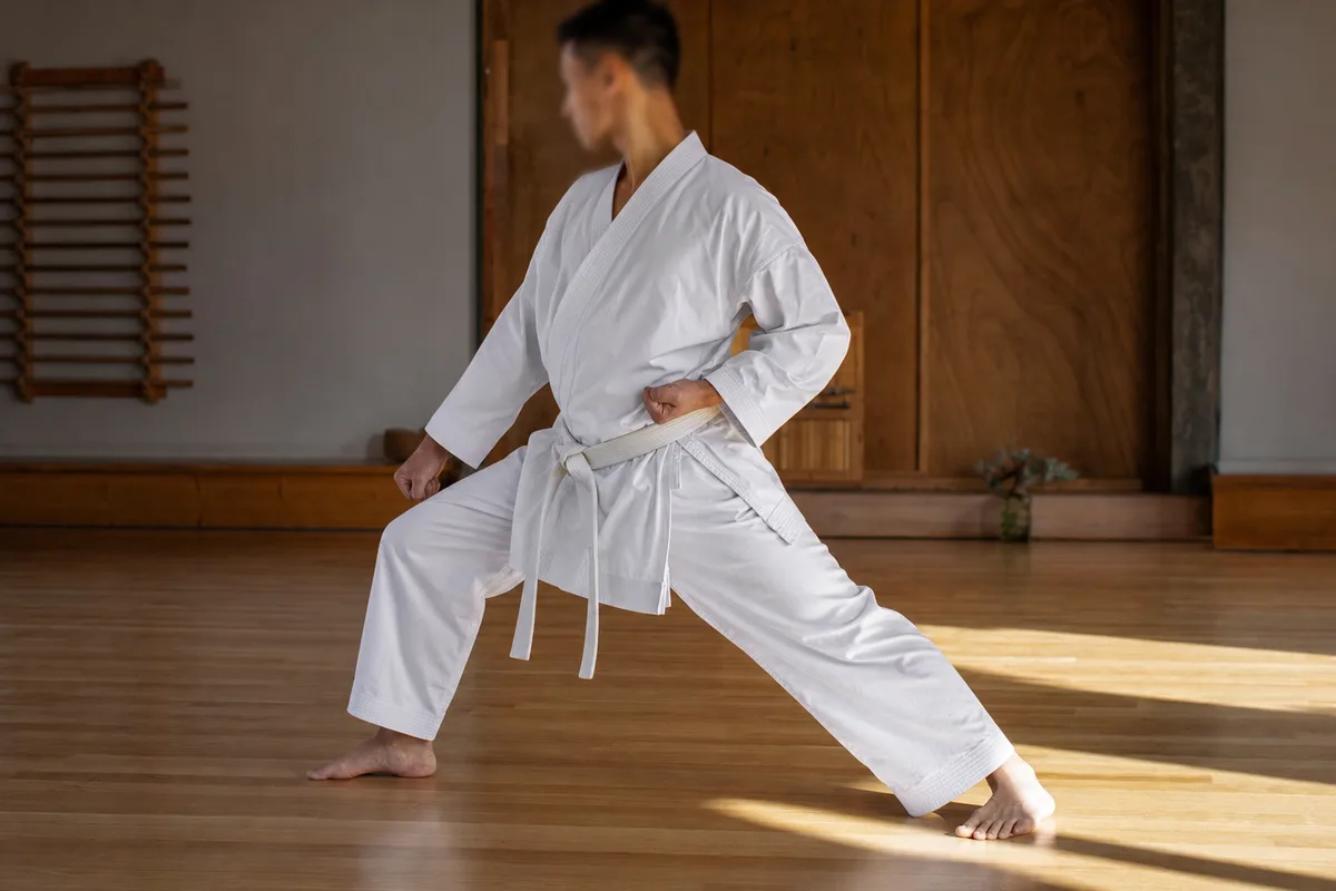 Progression des katas débutant : Taikyoku puis Heian